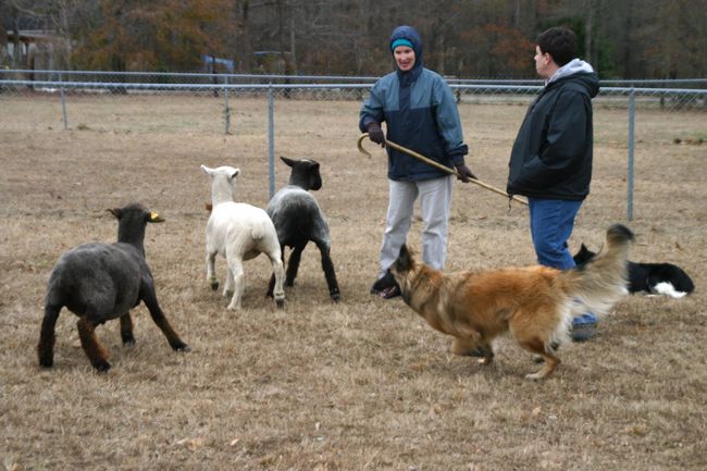 Click to see next picture