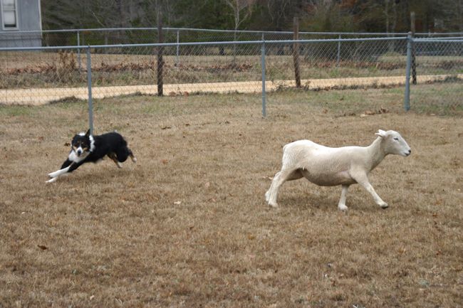 Click to see next picture