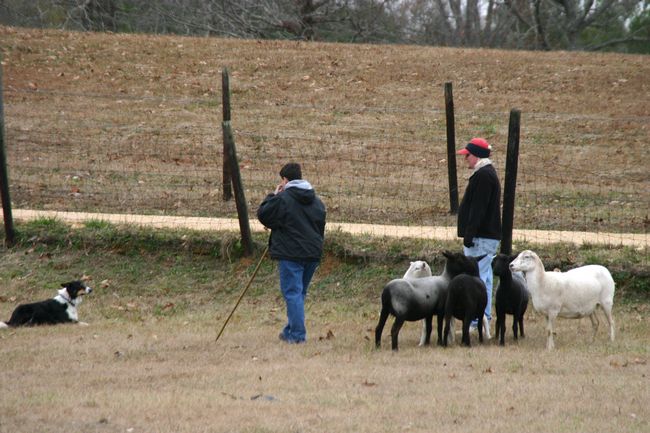 Click to see next picture