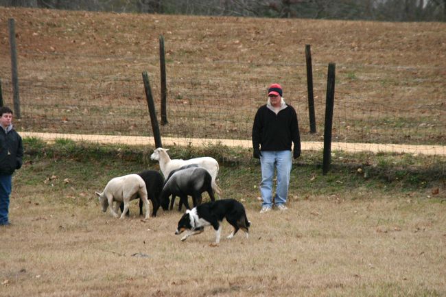 Click to see next picture