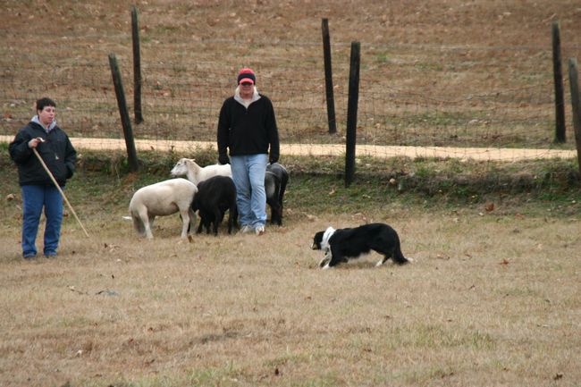 Click to see thumbs page