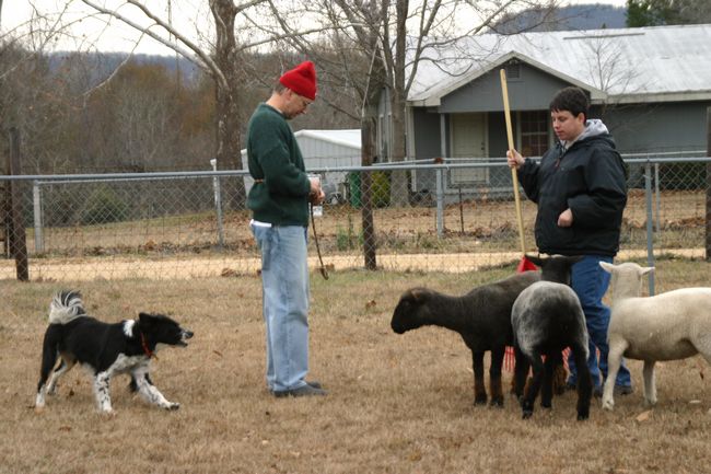 Click to see next picture