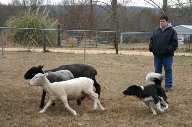 Click to see next picture