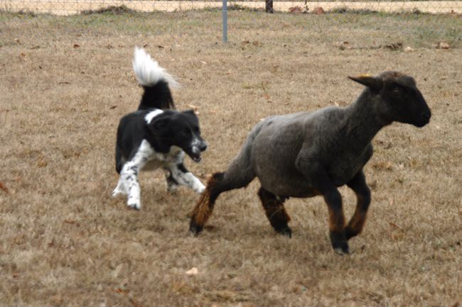 Click to see next picture