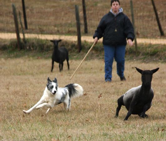 Click to see next picture