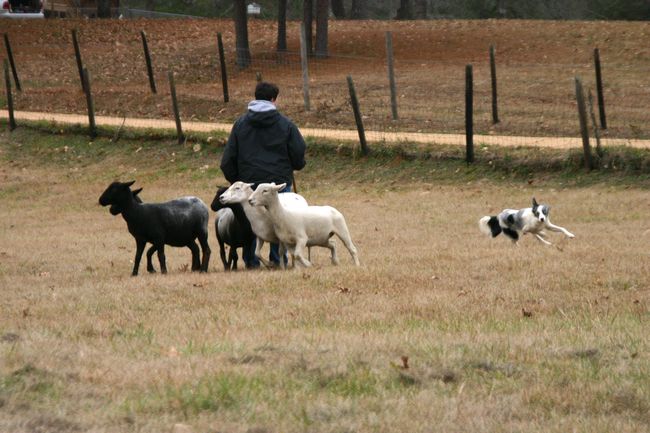 Click to see next picture