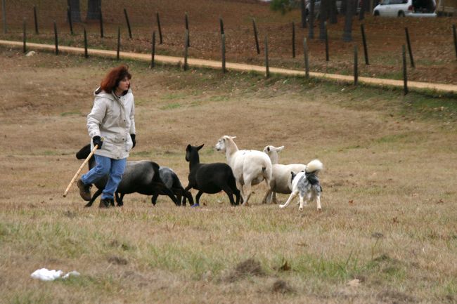 Click to see next picture