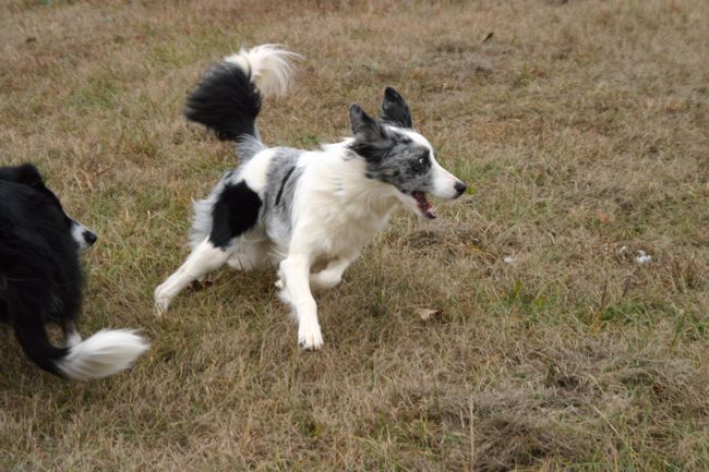 Click to see next picture