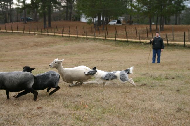 Click to see next picture