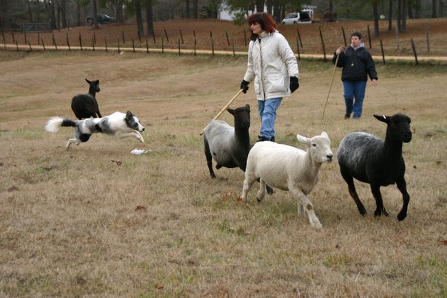 Click to see next picture