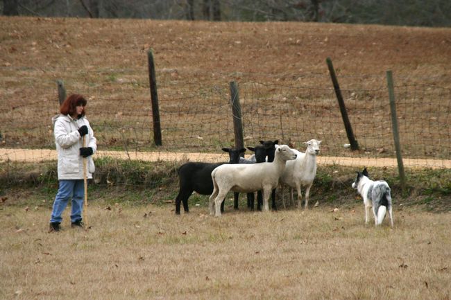 Click to see next picture