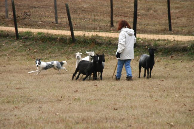 Click to see next picture