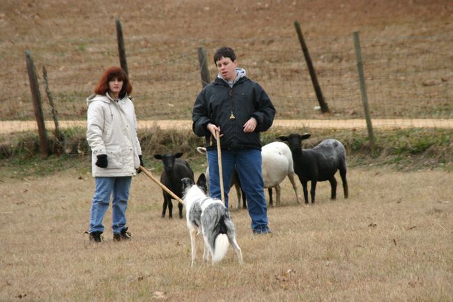 Click to see next picture