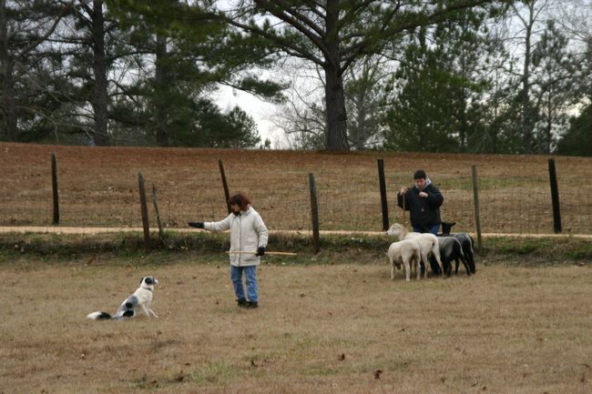 Click to see next picture