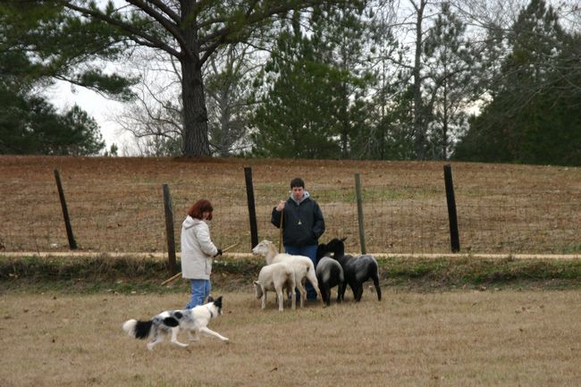 Click to see next picture