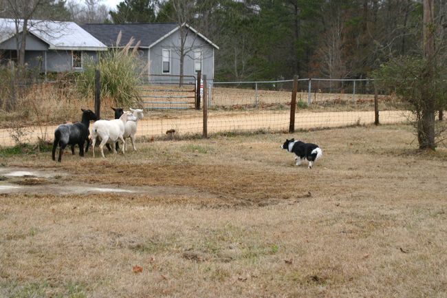 Click to see next picture