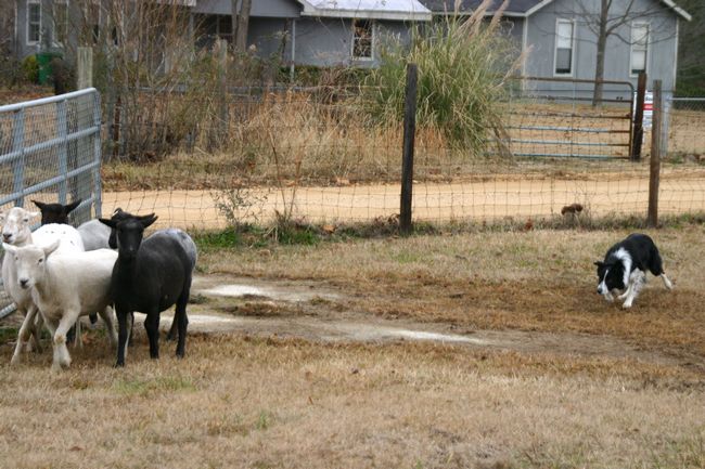 Click to see next picture