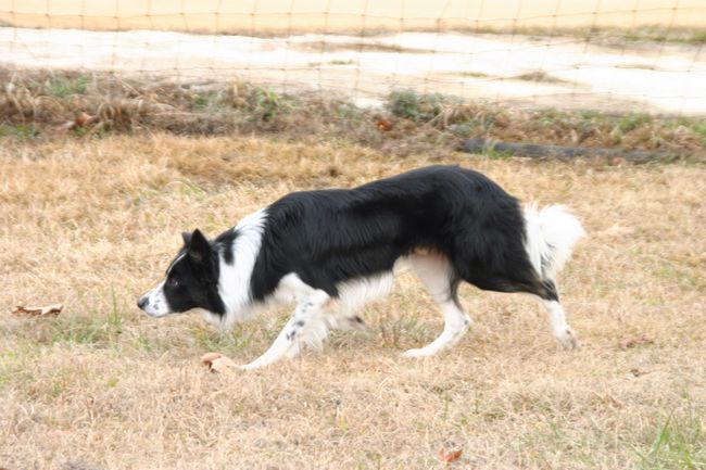 Click to see next picture