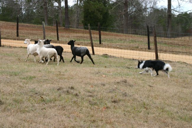 Click to see next picture