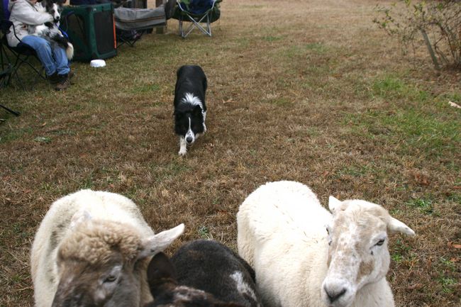 Click to see next picture