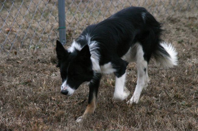 Click to see next picture