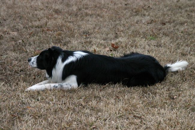 Click to see next picture