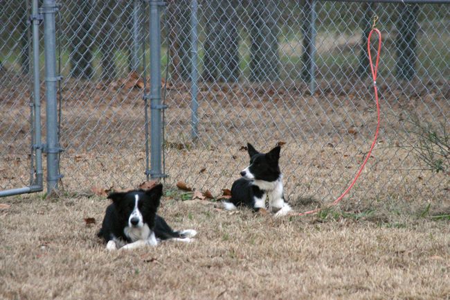 Click to see thumbs page