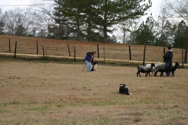 Click to see next picture