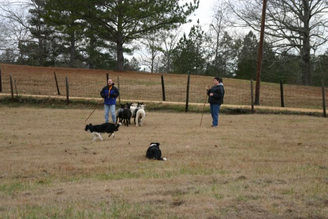 Click to see next picture