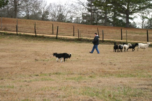 Click to see next picture