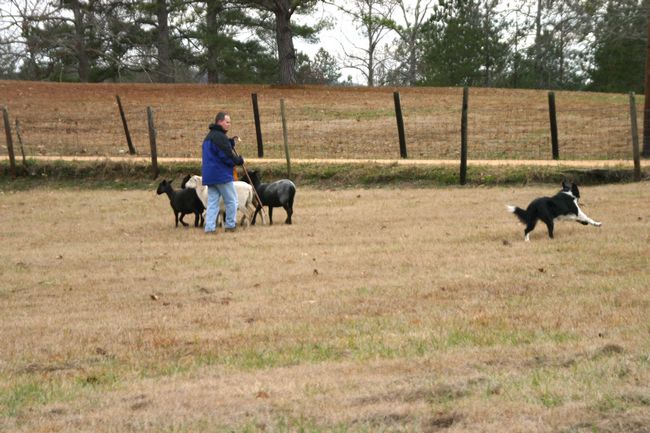 Click to see next picture