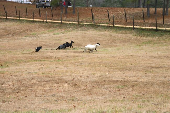 Click to see next picture