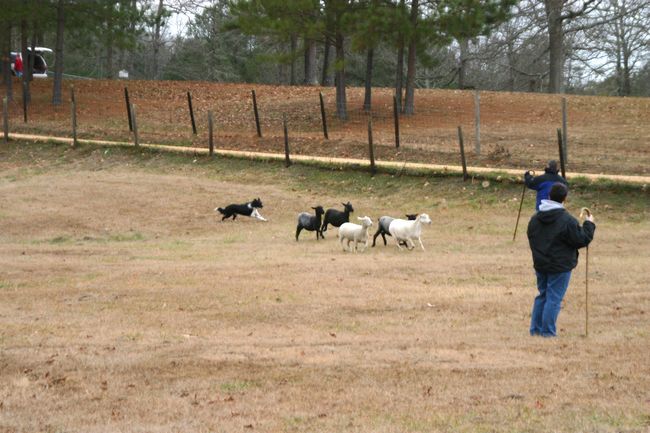 Click to see next picture