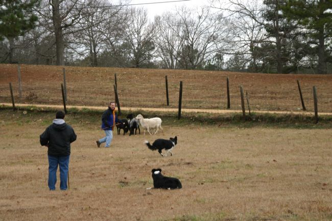 Click to see next picture