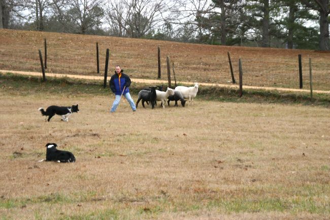 Click to see next picture