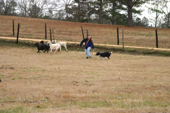 Click to see next picture