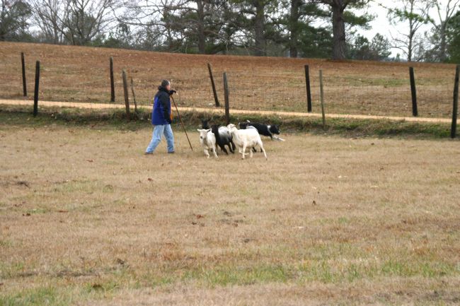 Click to see next picture