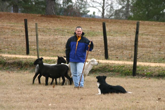 Click to see next picture