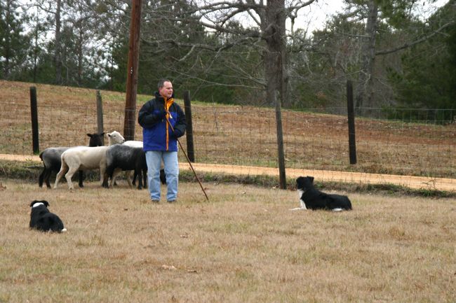 Click to see next picture