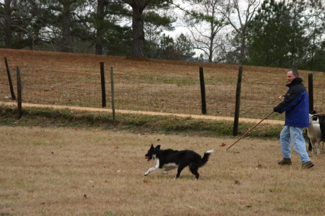 Click to see next picture