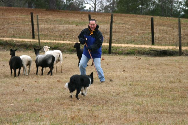 Click to see next picture