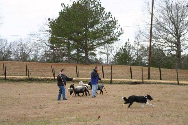 Click to see next picture