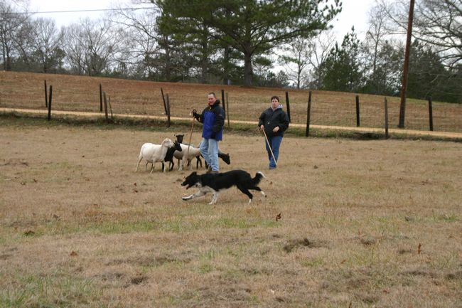 Click to see next picture