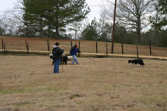 Click to see next picture