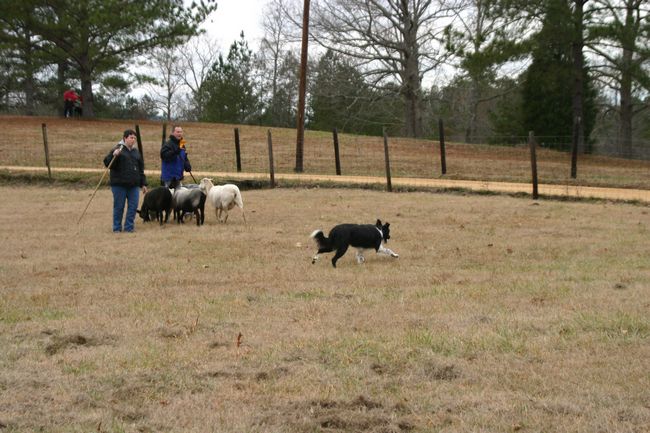 Click to see next picture