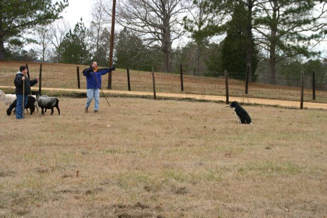 Click to see next picture