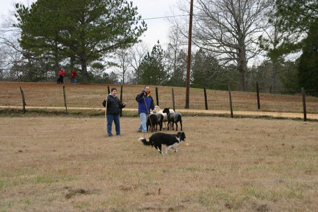 Click to see next picture