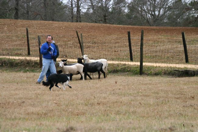 Click to see next picture