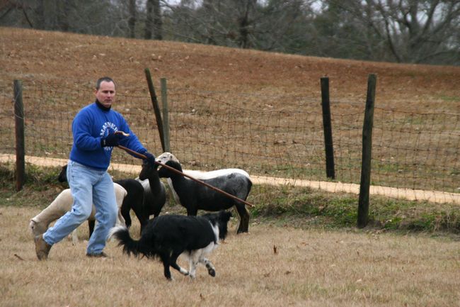 Click to see next picture