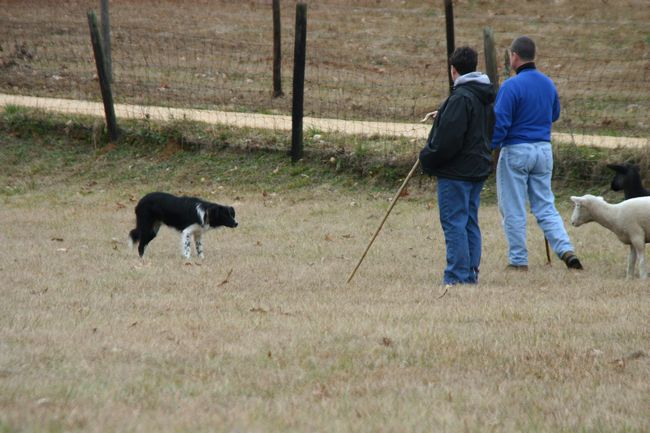 Click to see next picture